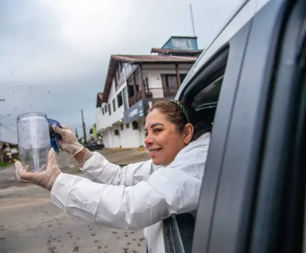 Endemic Control Agent releases mosquitoes from a car for world mosquito program