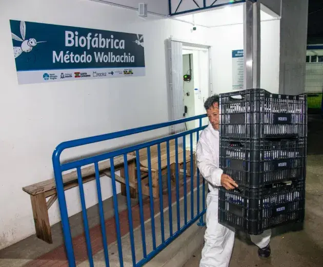 Wolbtio do Brasil volunteer