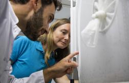 Parts of a whole: The many partners tackling dengue in New Caledonia Parts of a whole: The many partners tackling dengue in New Caledonia