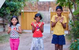 El carácter igualitario del método Wolbachia para el control del dengue El carácter igualitario del método Wolbachia para el control del dengue