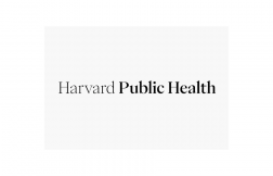 Can mass-produced mosquitoes slow dengue’s spread?  Can mass-produced mosquitoes slow dengue’s spread?