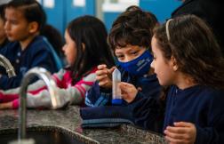 WMP’s Wolbachia method: Bringing hope and resilience to Campo Grande WMP’s Wolbachia method: Bringing hope and resilience to Campo Grande