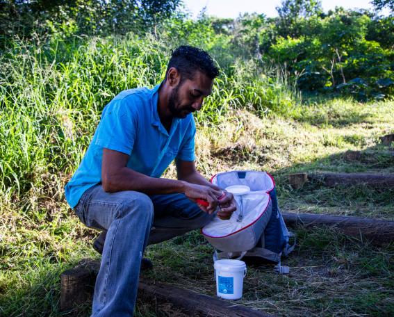 WMP Fieldwork_Website