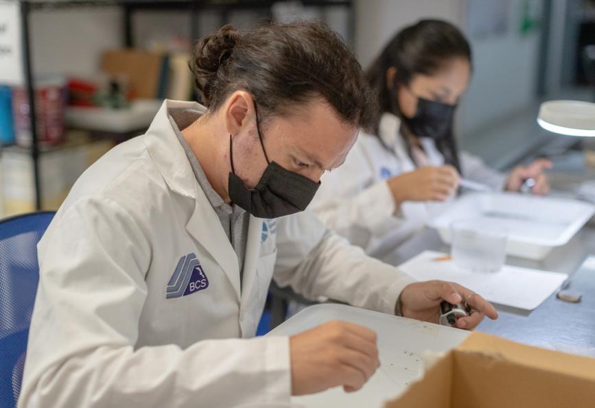 La Paz lab