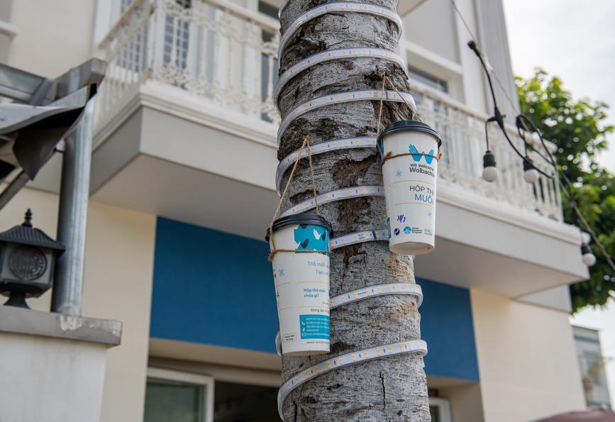 Mosquito release containers in Thu Dau Mot, Vietnam