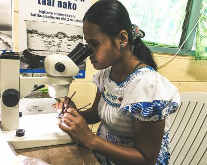 field entomology in kiribati