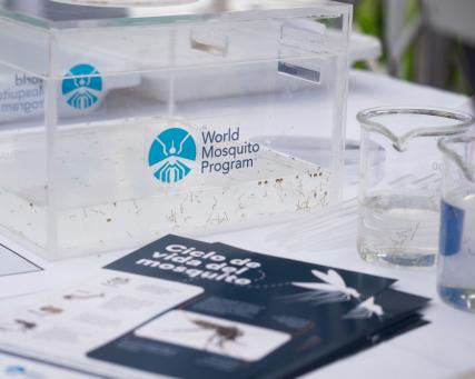 WMP event launch in El Salvador