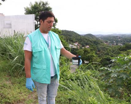 WMP Release mosquito in Brazil .
