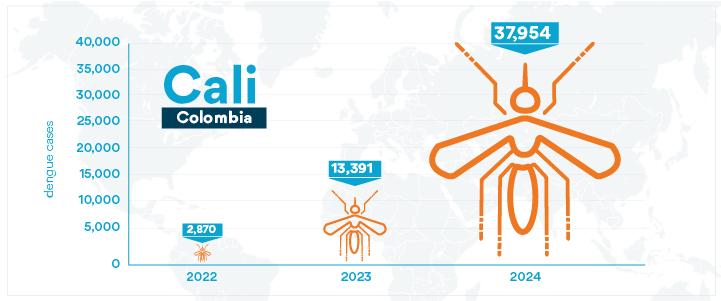 Cali dengue cases