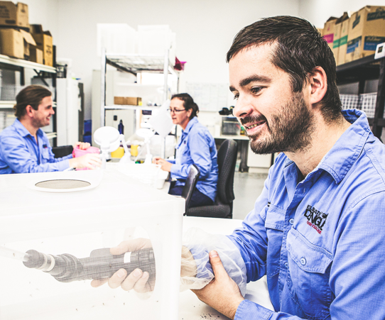 We release the first <i>Wolbachia</i> mosquitoes in the Cairns region We release the first <i>Wolbachia</i> mosquitoes in the Cairns region