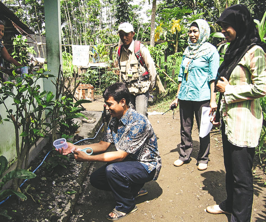 Brazil and Indonesia release their first <i>Wolbachia</i> mosquitoes  Brazil and Indonesia release their first <i>Wolbachia</i> mosquitoes