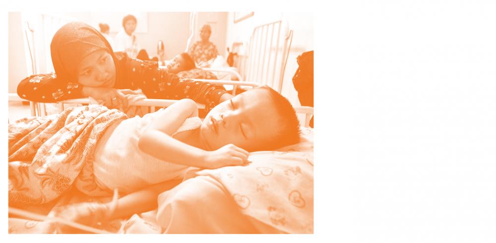 The <i>Wolbachia</i> method can fight yellow fever  The <i>Wolbachia</i> method can fight yellow fever